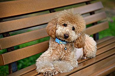 《最终幻想8：重制版》AI概念预告片 太棒让人印象深刻